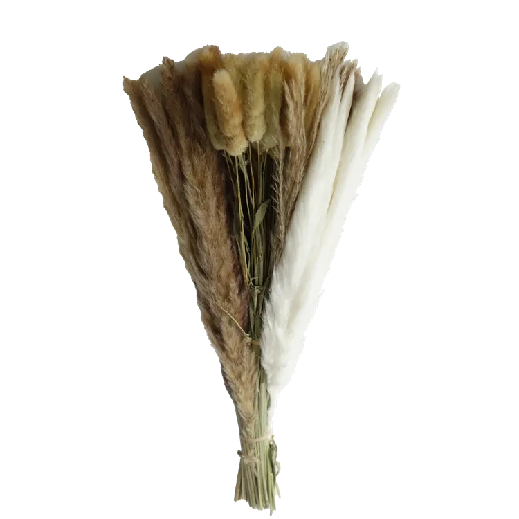 Korunmuş Çim
