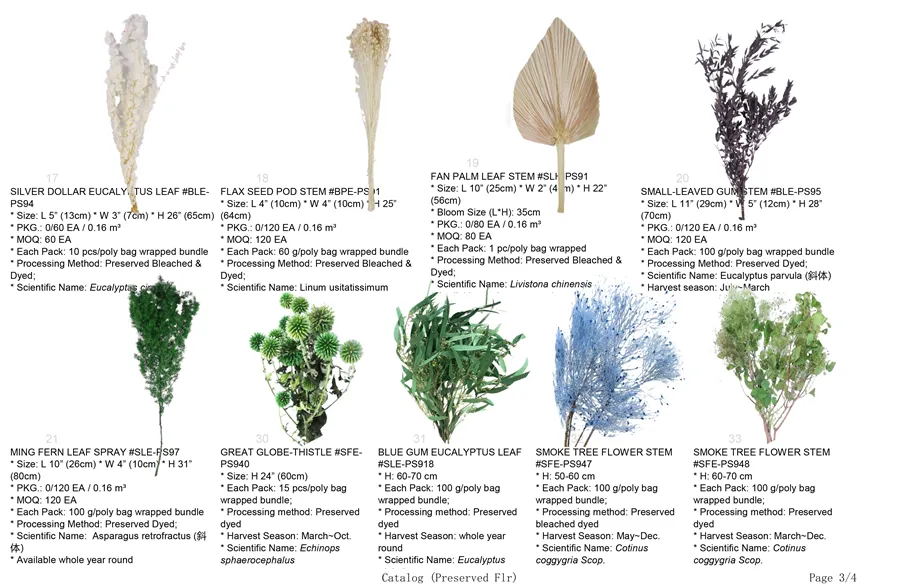 Preserved Flowers-3 Preserved Flowers-3