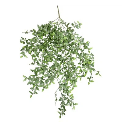 Yangın Geciktirici Yeşillik