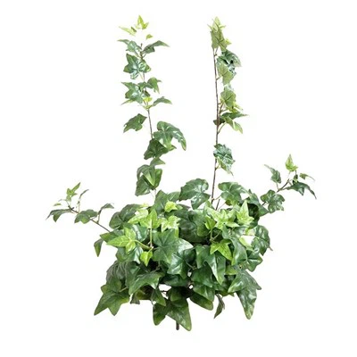 Gerçek Görünümlü Yapay Yeşillik